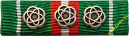 Bild von Auszeichnung für Inland Einsätze 650 Diensttage silber Armee 21 Ribbon
